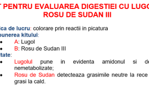 Kit sudanofile (SUDAN RED)