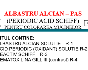 Kit ALBASTRU ALCIAN-PAS
